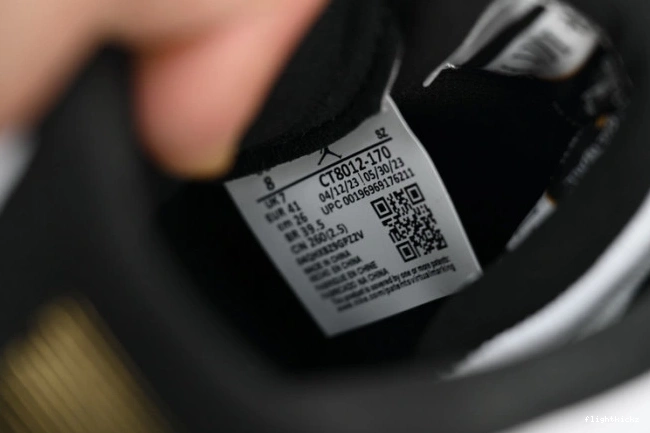 Jordan CT8012-170 11 Air DMP 0916